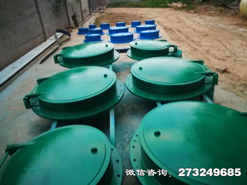 泾县市政管道口玻璃钢拍门